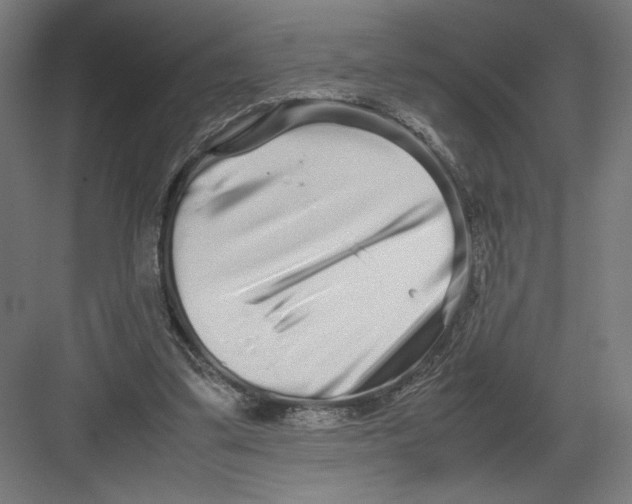 X0000082200299200702100008