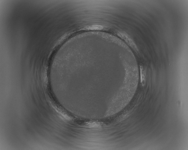 X0000082200300200702100008