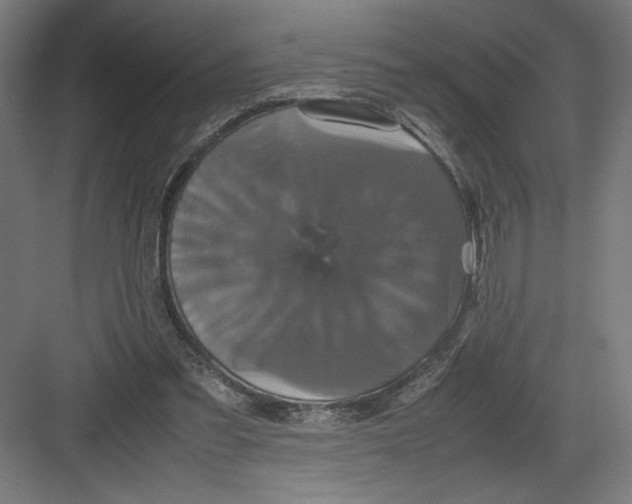 X0000082200301200702100008