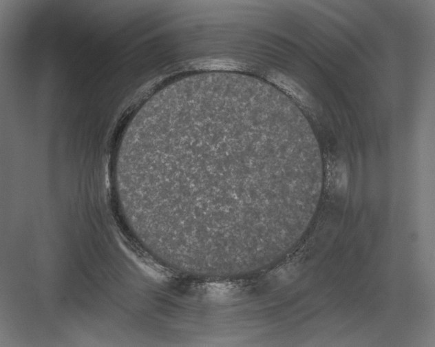 X0000082200302200702100008