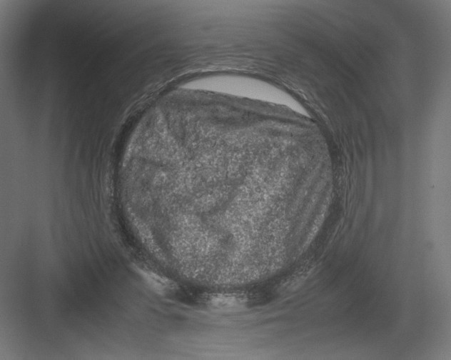 X0000082200303200702100008