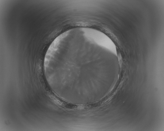 X0000082200305200702100008