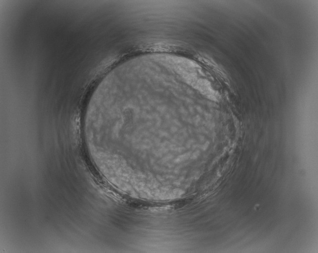 X0000082200306200702100008