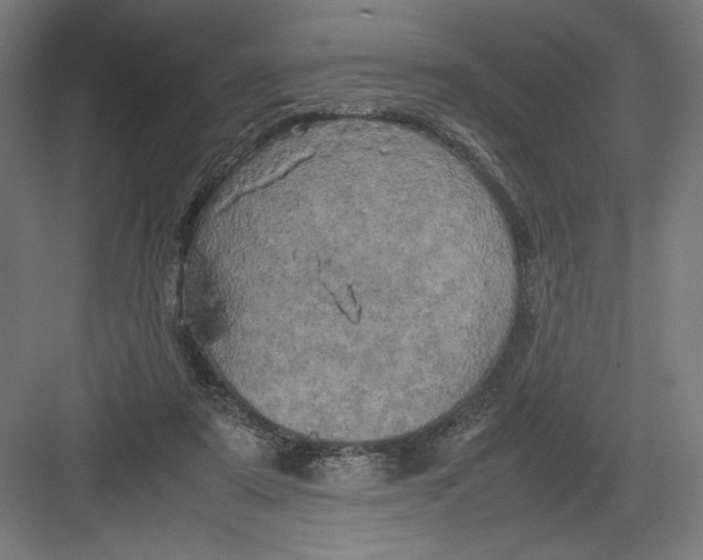 X0000082200307200702100008