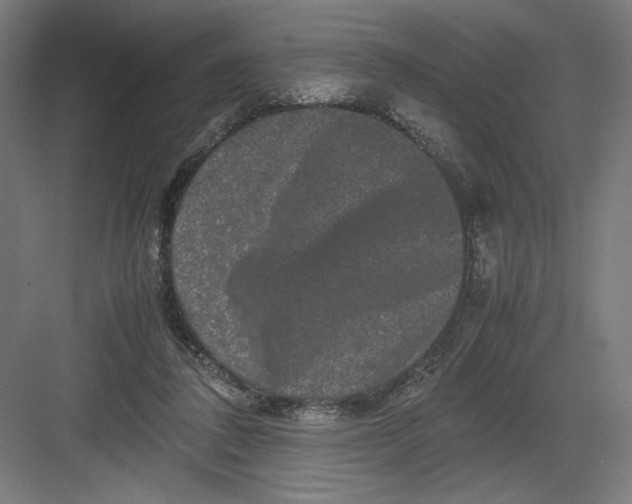 X0000082200308200702100008