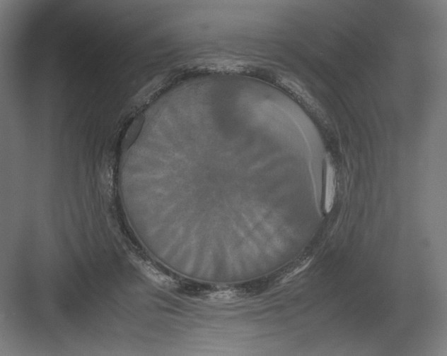 X0000082200309200702100008