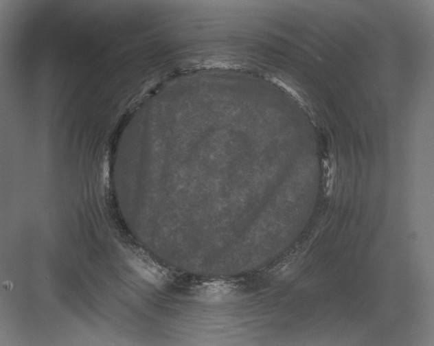 X0000082200310200702100008