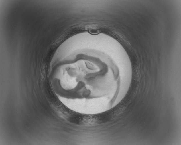 X0000082200311200702100008