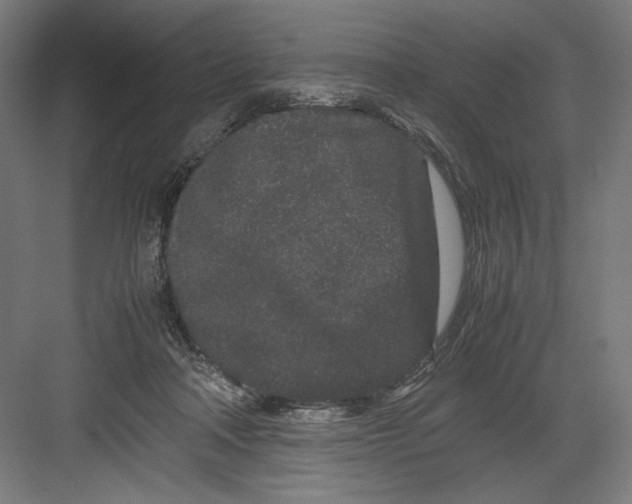 X0000082200314200702100008