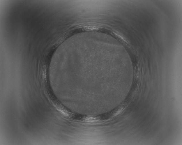 X0000082200315200702100008