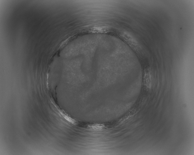 X0000082200318200702100008