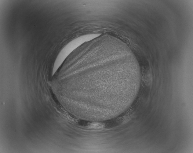 X0000082200319200702100008