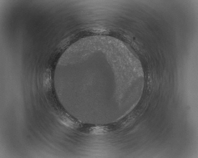 X0000082200320200702100008