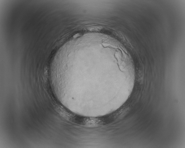 X0000082200321200702100008