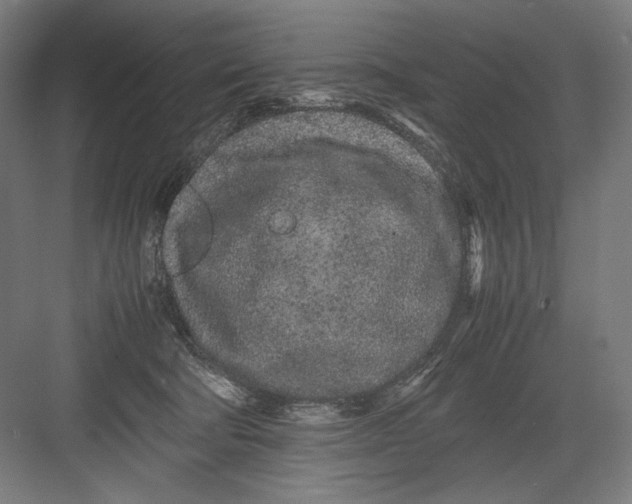 X0000082200322200702100008