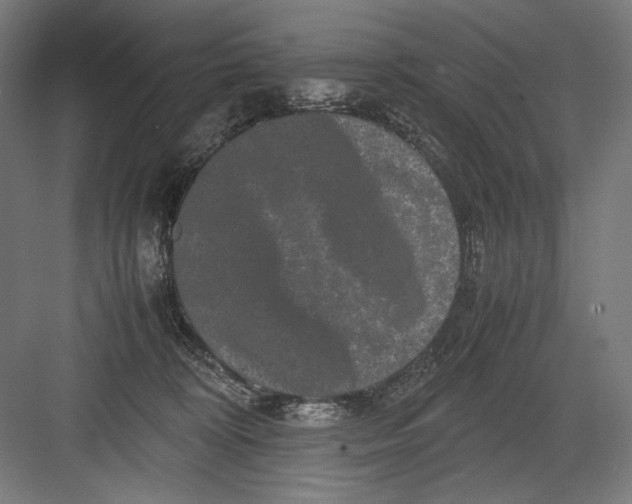 X0000082200324200702100008