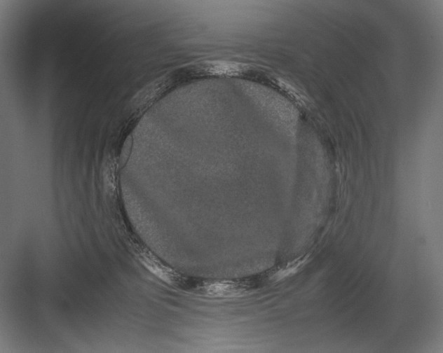 X0000082200325200702100008