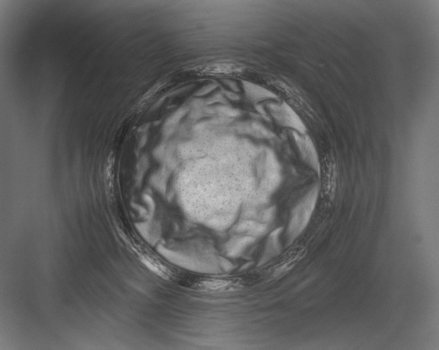 X0000082200326200702100008