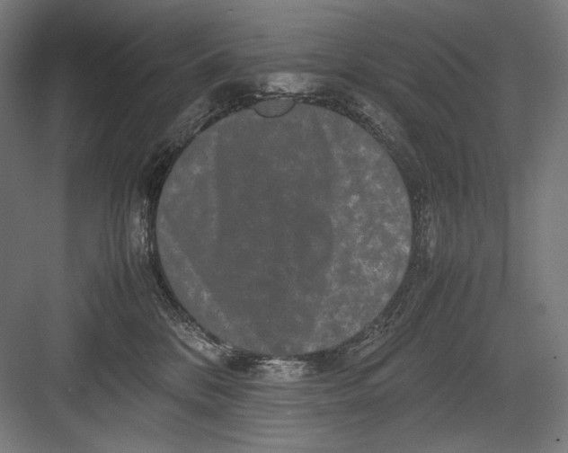 X0000082200328200702100008