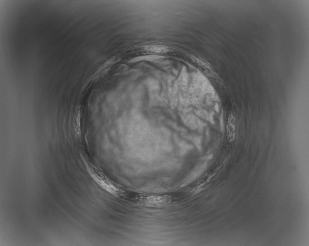 X0000082200330200702100008