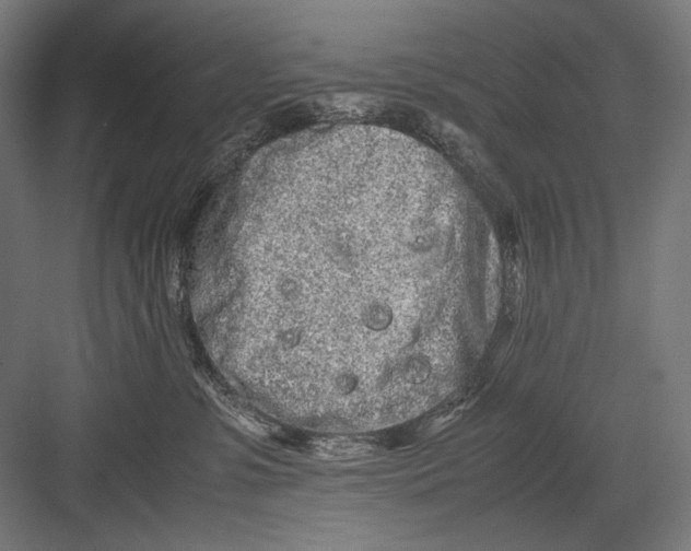 X0000082200331200702100008