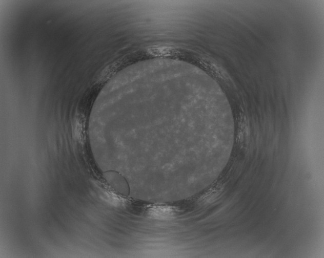 X0000082200332200702100007