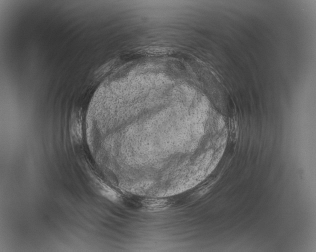 X0000082200334200702100007