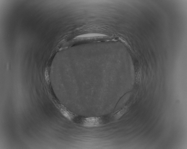 X0000082200335200702100007