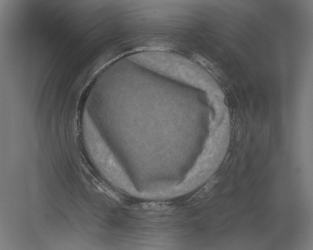 X0000082200338200702100007