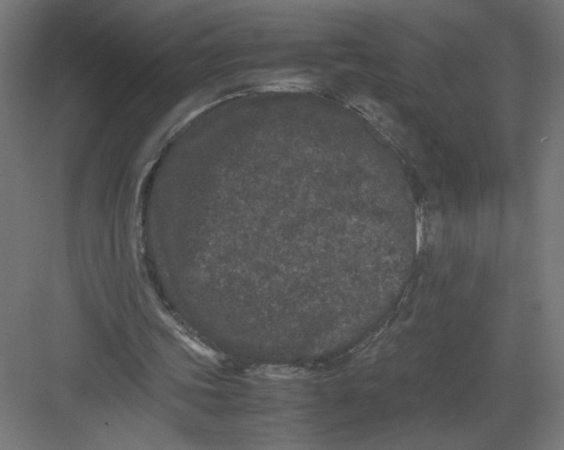 X0000082200339200702100007