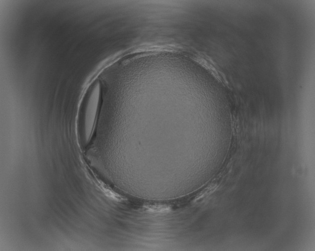 X0000082200340200702100007