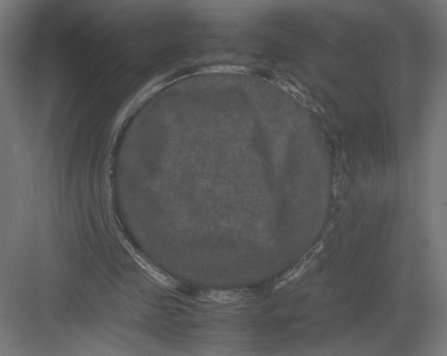 X0000082200341200702100007