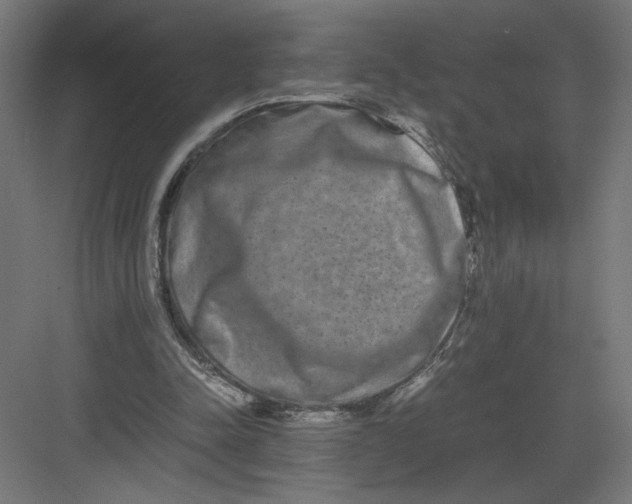 X0000082200342200702100007