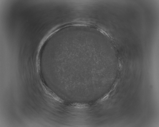 X0000082200343200702100007