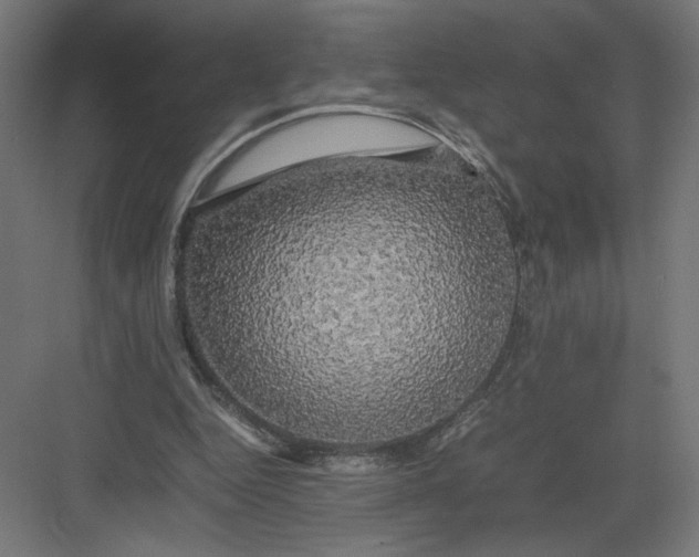 X0000082200344200702100007