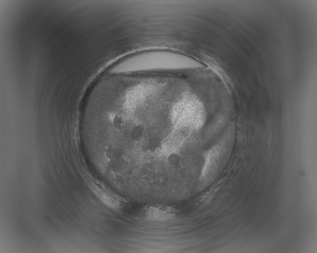 X0000082200346200702100007