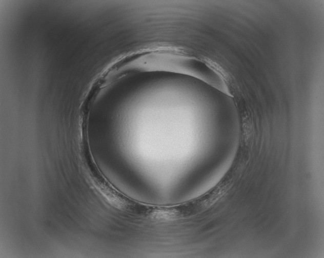 X0000082200350200702100007