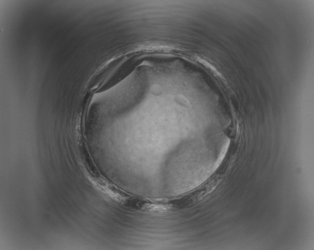 X0000082200352200702100007