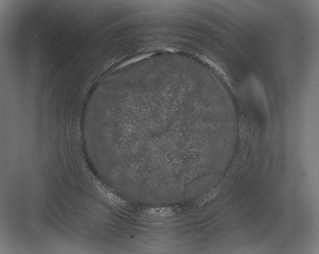 X0000082200353200702100007