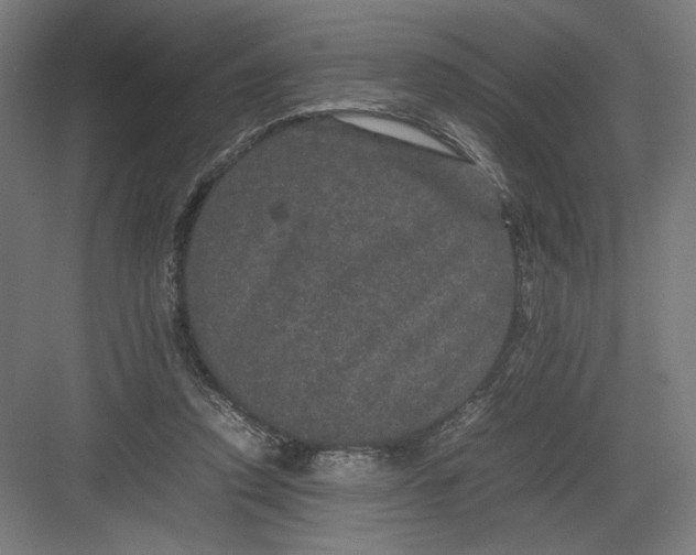 X0000082200354200702100007