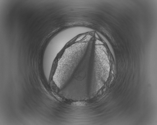 X0000082200356200702100007