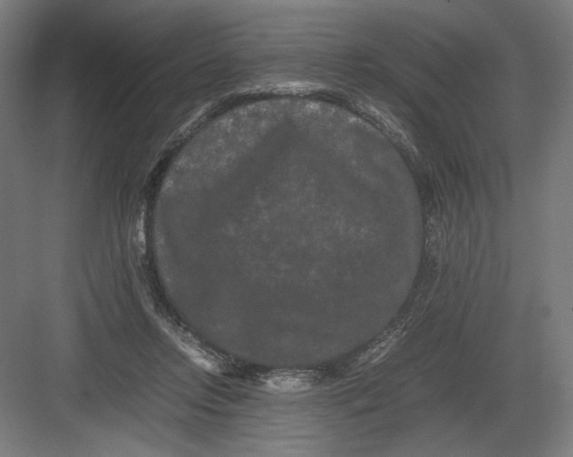 X0000082200358200702100007