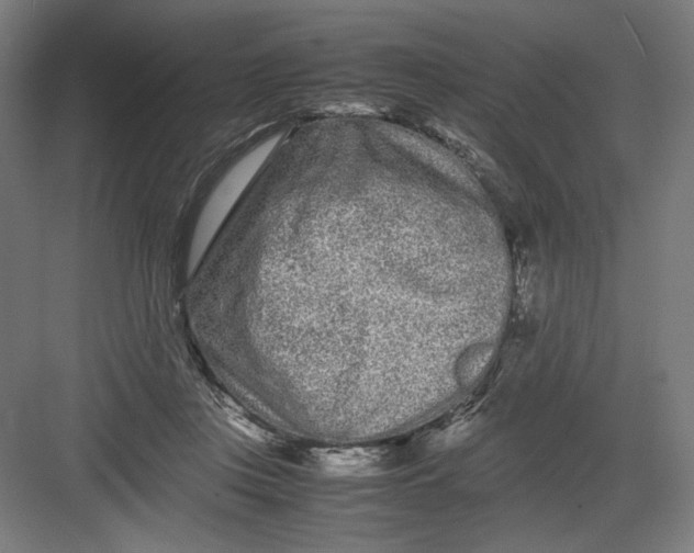 X0000082200359200702100007