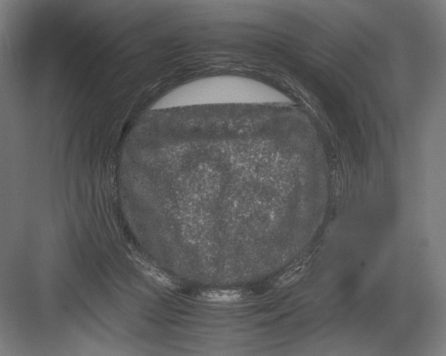 X0000082200361200702100007