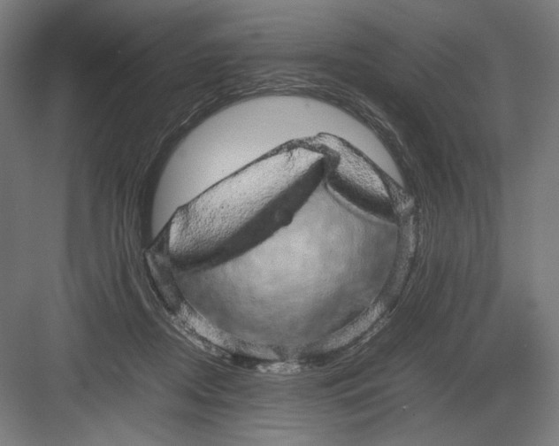 X0000082200362200702100007