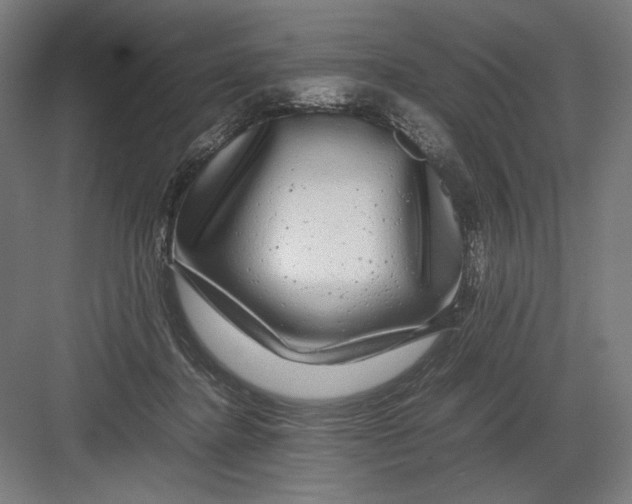 X0000082200364200702100007