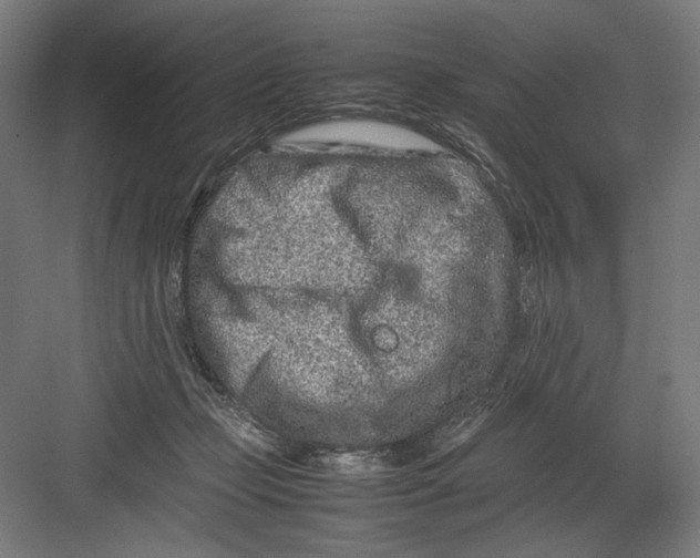 X0000082200365200702100007