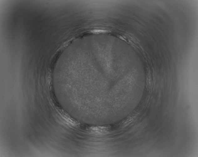 X0000082200367200702100007