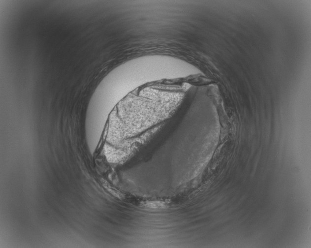 X0000082200368200702100007