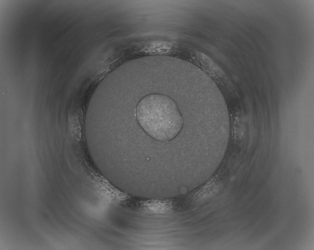 X0000082200370200702100007